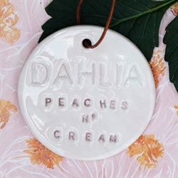 Dahlia Peaches n' cream - Keramik planteskilt